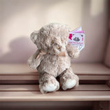 Artesavi - Pluche Beer - Bruin - 23 cm