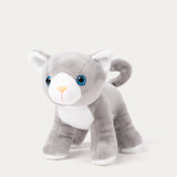 Teddykompaniet - Teddy Kat Speelset