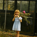 Gingersnaps - Kleedje - Blauw