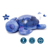 Tranquil Turtle Ocean