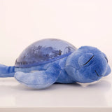 Tranquil Turtle Ocean