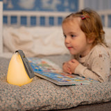 Shnuggle Moonlight - Nachtlampje voor baby's en ouders