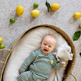 Lassig - Tshirt met lange mouwen - Citron