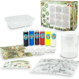 Tubi Jelly set - Insecten