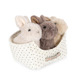 Konges - Bunny Love