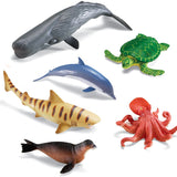 Learning Resources - Jumbo Zeedieren